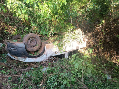 Imagem da notícia Motorista capota pick-up após desviar de capivaras na BR-060, perto de Paraíso das Águas